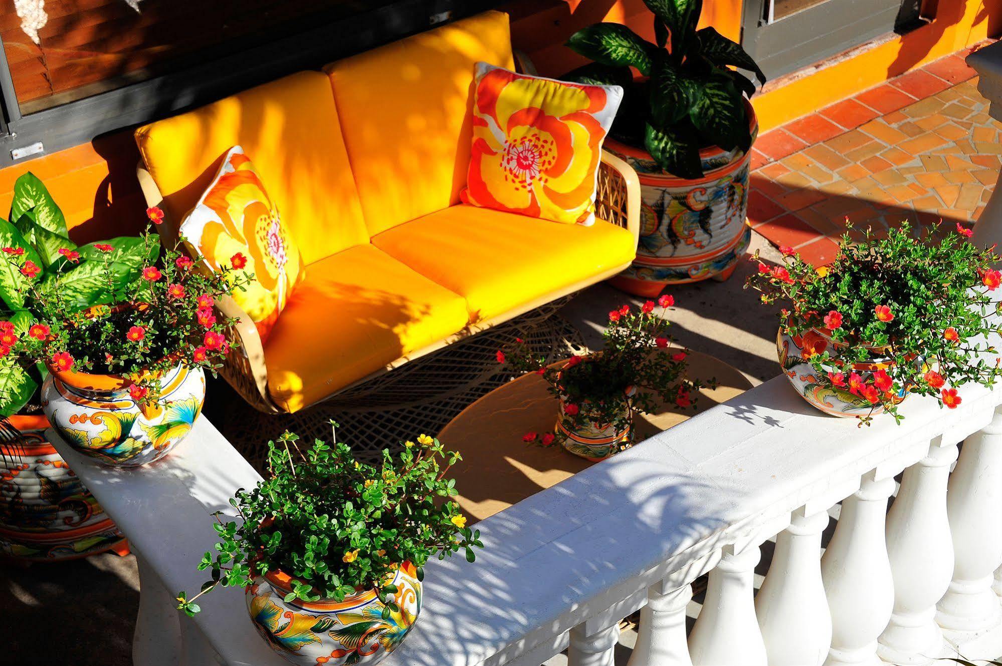 Blue Seas Courtyard Hotel Lauderdale-by-the-Sea Luaran gambar